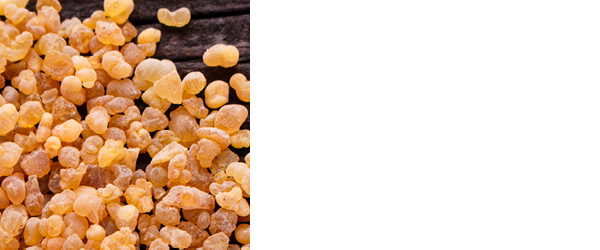 Frankincense essential oil for hypothyroidism stress relief