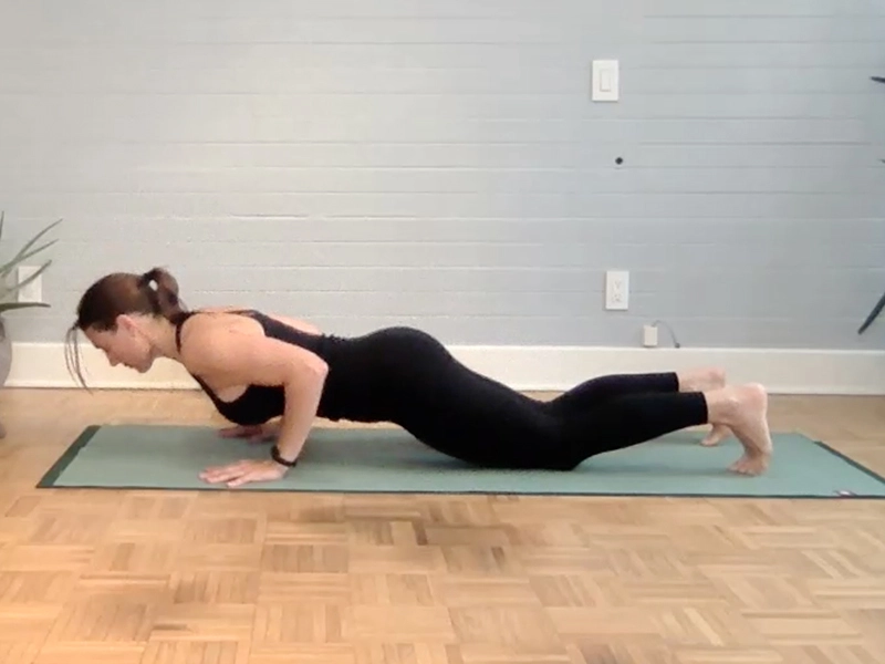 Plank Pose with Push Up Motion