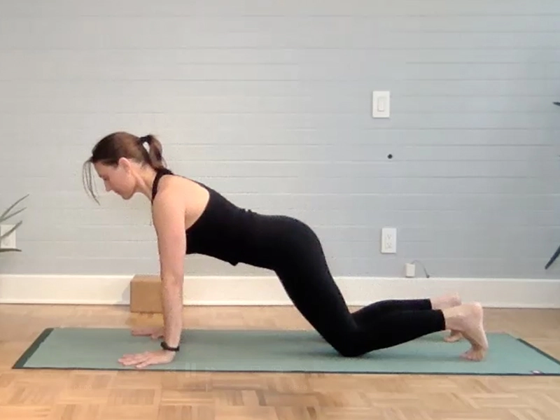 Plank Pose with Push Up Motion
