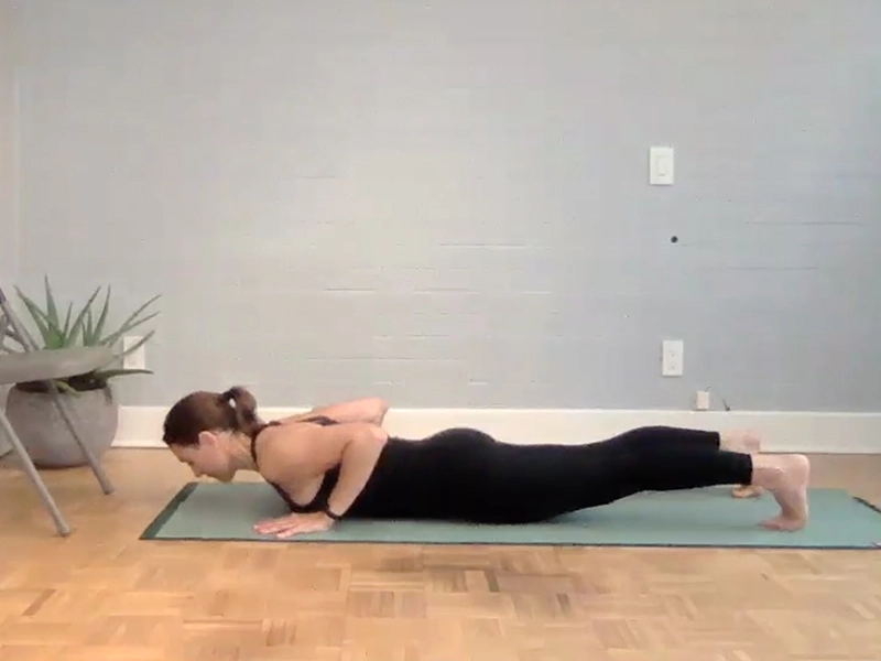 Plank Pose with Push Up Motion