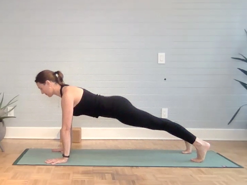Plank Pose with Push Up Motion
